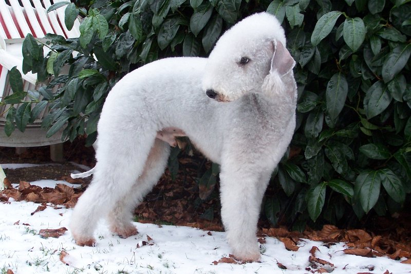 Svet 2008-01-04 (2).jpg